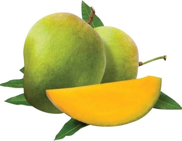 Mango Himsagar