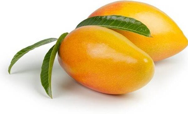 Mango PM