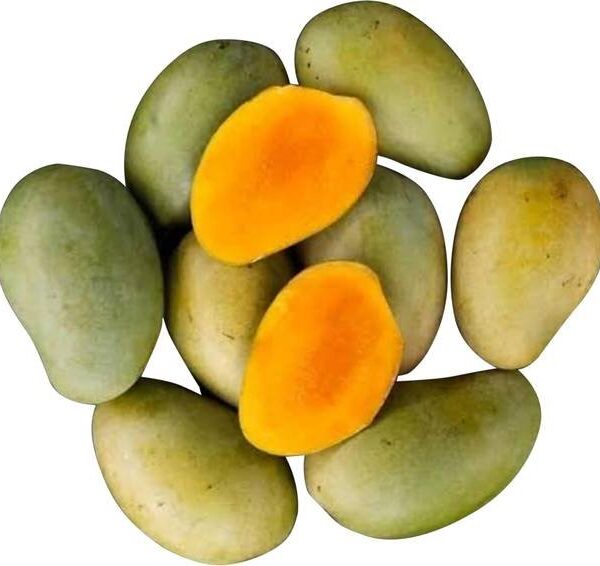 Mango Amrapali