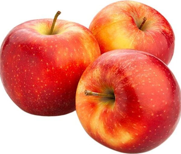 Apple Shimla Economy