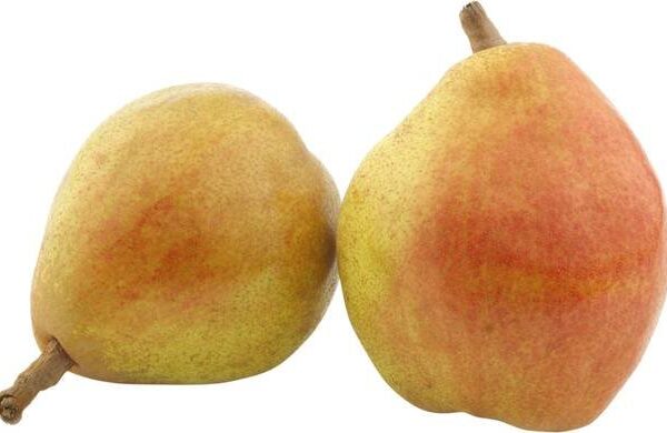 Pear Small Mishri