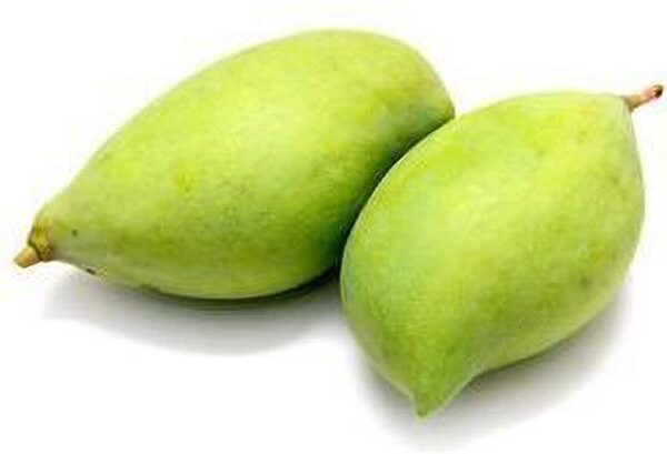 Mango Totapuri