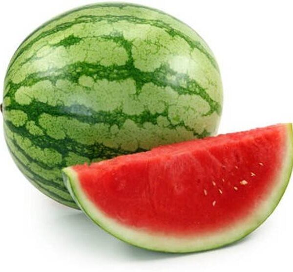 Watermelon Striped Large
