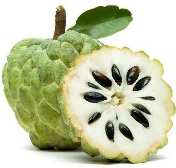 Custard Apple Premium