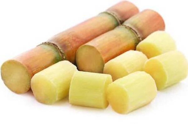 Sugar Cane Cubes Cut