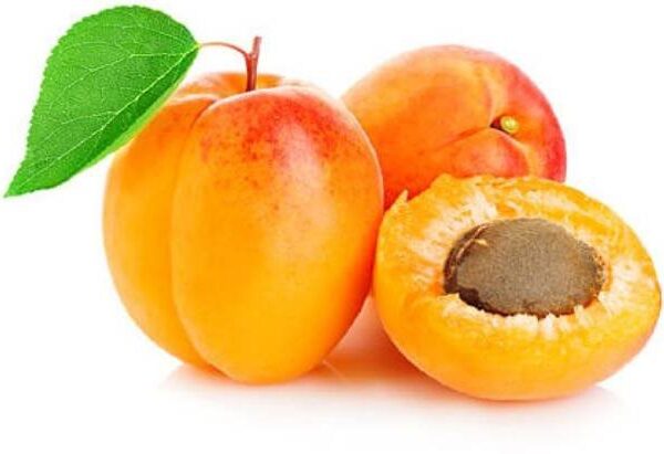 Apricot