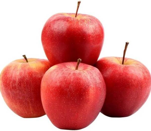 Apple Shimla Premium
