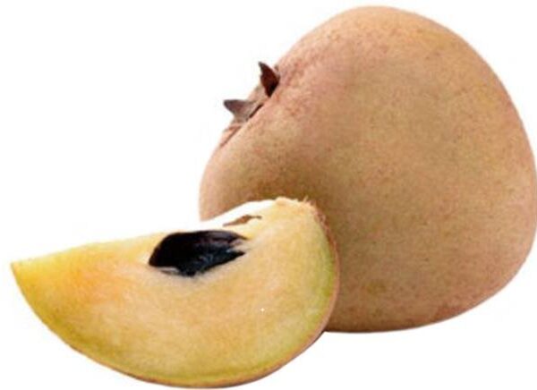 Sapota Pack Of 6