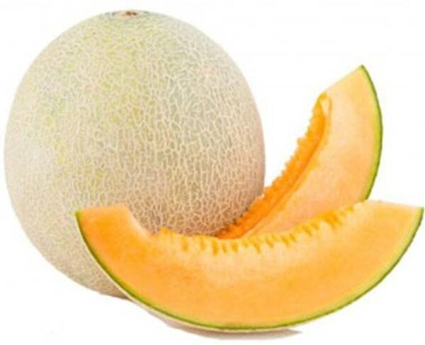Muskmelon Kundan