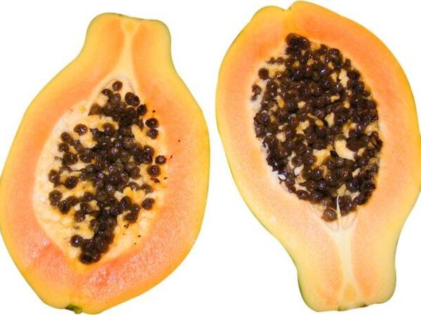 Papaya Half Cut with skin Cut