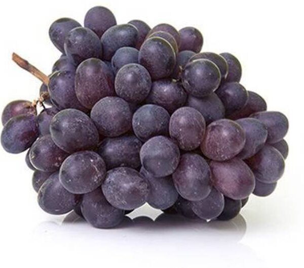 Grapes - Bangalore blue