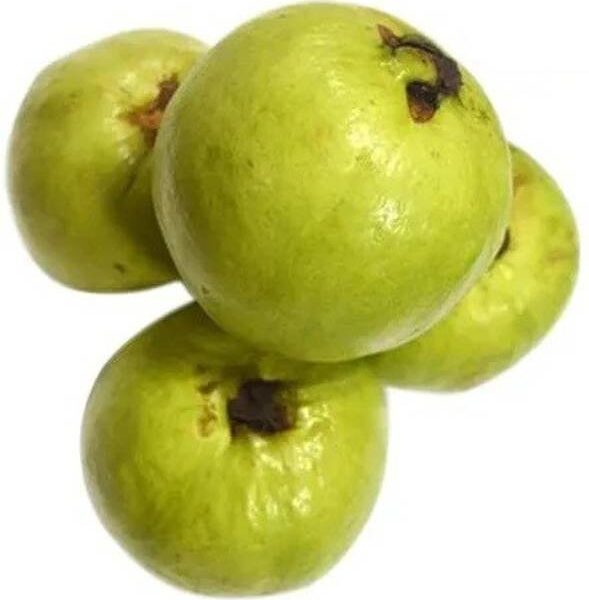 Guava- Thai