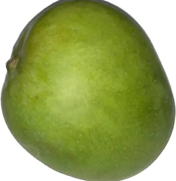 Mango Coconut