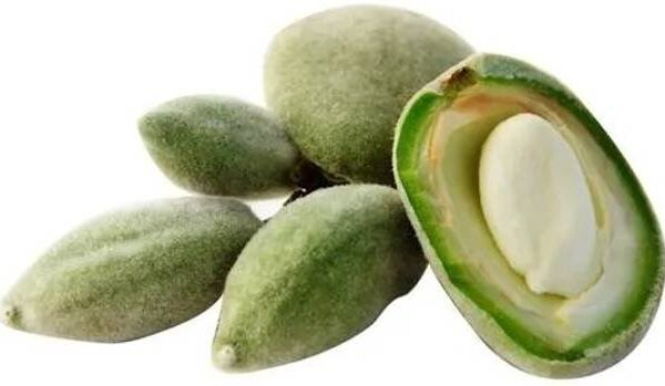 Green Almond