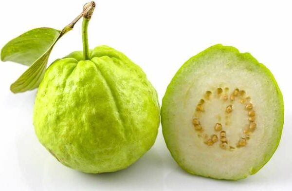 Guava