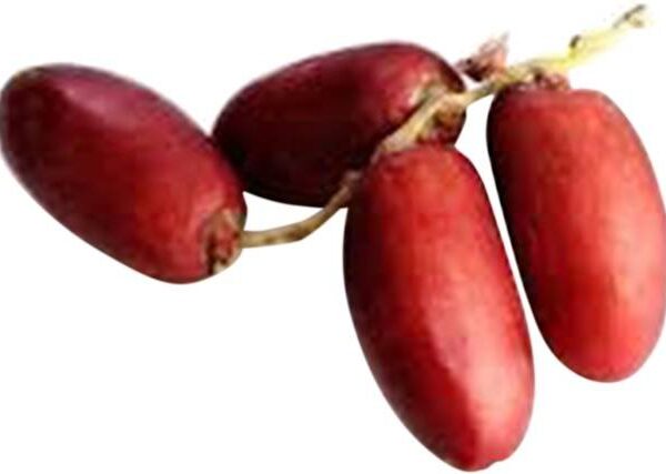 Dates Red