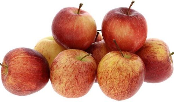 Apple Royal Gala Baby