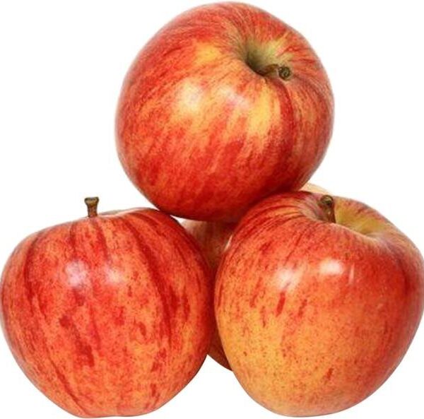 Apple Royal Gala Premium