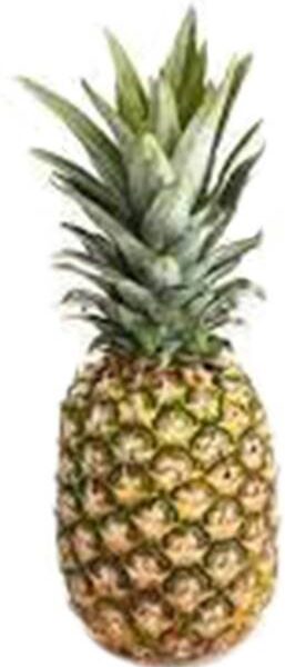 Pineapple Regular