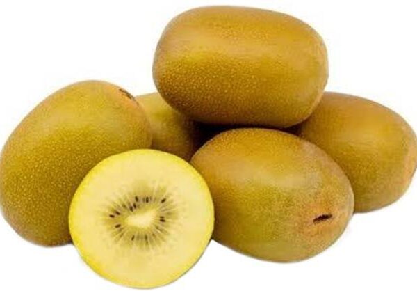 Kiwi Golden Imported