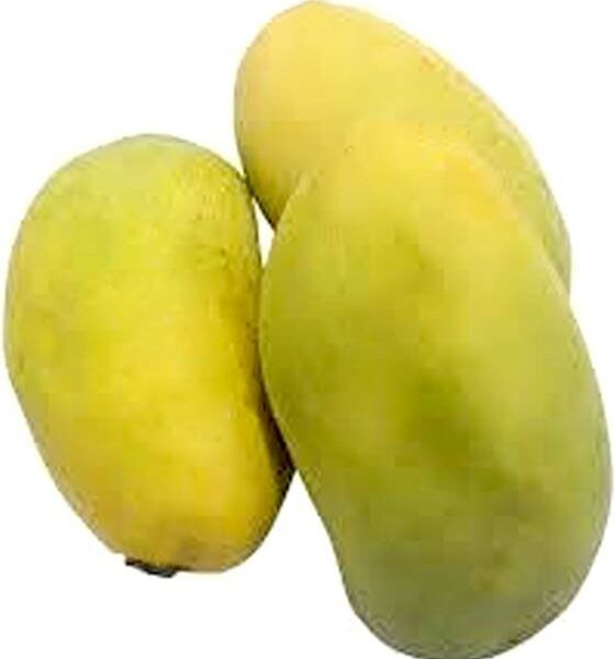 Mango Cherukurasam