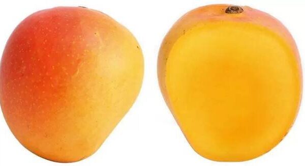 Mango Jawahar Pasand