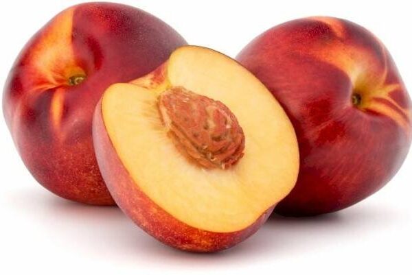 Nectarine