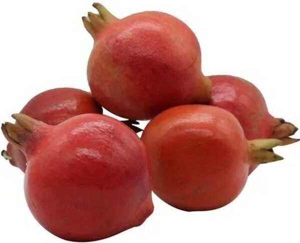 Pomegranate Small