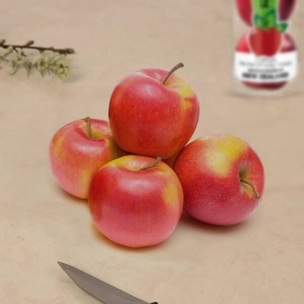 Apple Rocket Imported