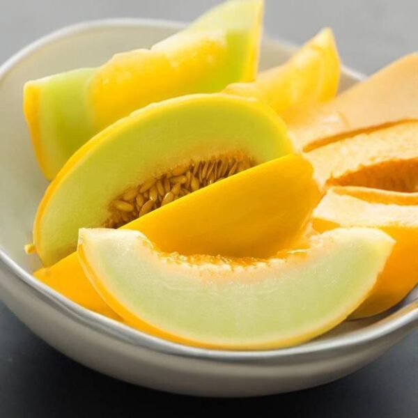 Sun Melon