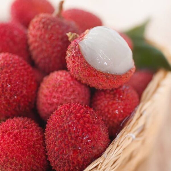 Litchi