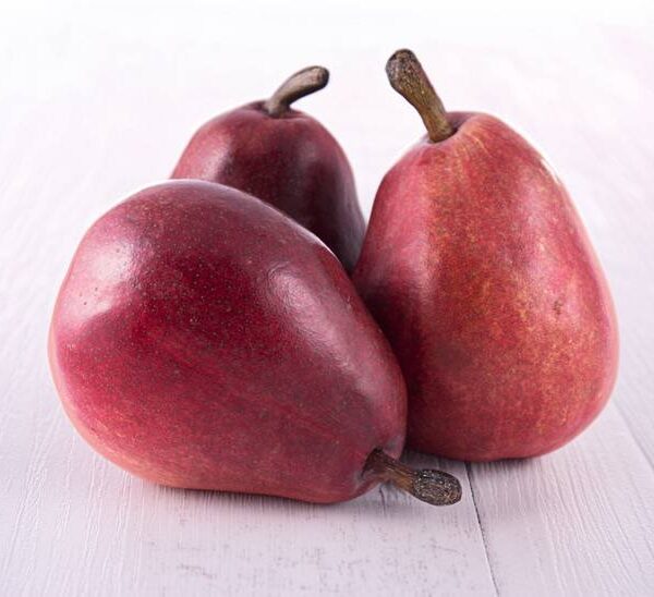 Pear Red Indian