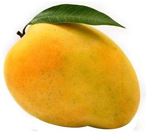 Mango Benganpalli